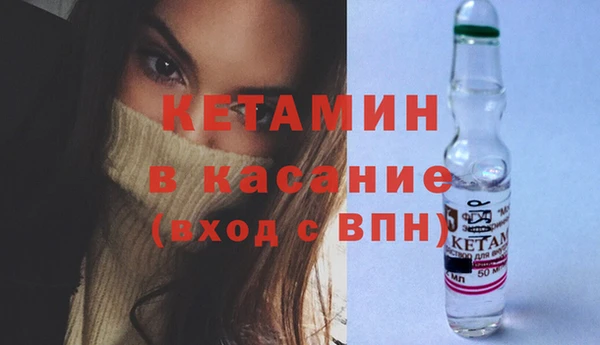 ПСИЛОЦИБИНОВЫЕ ГРИБЫ Новозыбков