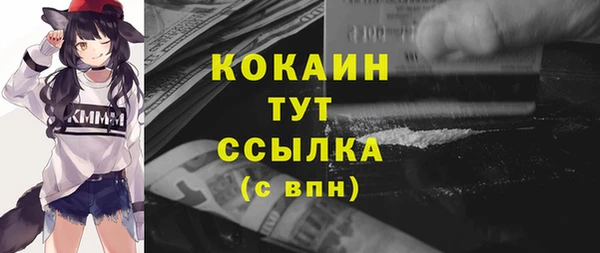 ПСИЛОЦИБИНОВЫЕ ГРИБЫ Новозыбков