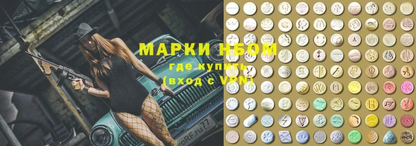 ПСИЛОЦИБИНОВЫЕ ГРИБЫ Новозыбков