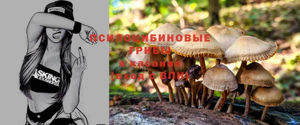 кокаин Новодвинск