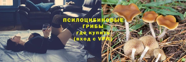 кокаин Новодвинск